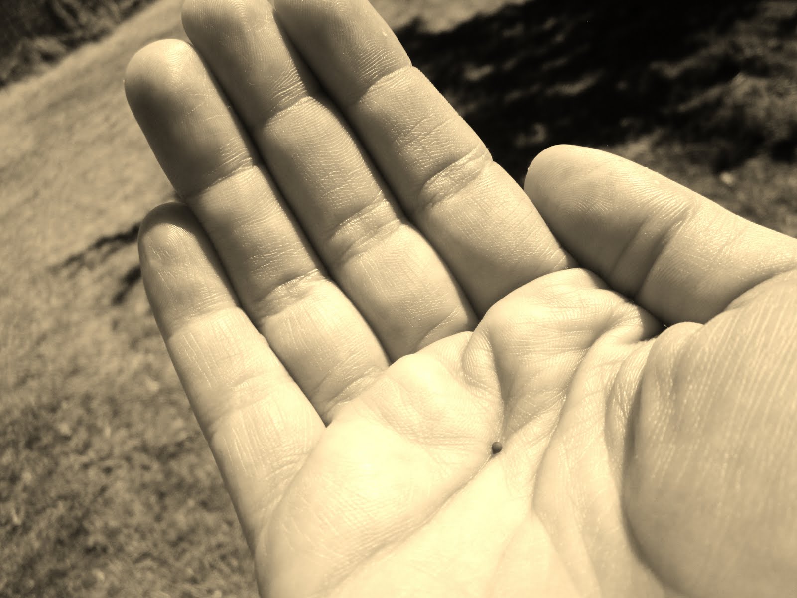 Where is your Faith? Is it seen in the unseen?