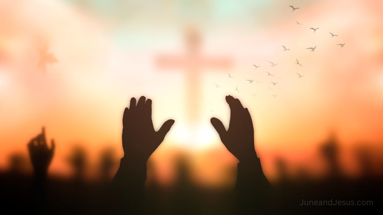 From Doctorate to Divine Purpose: A Reflective Journey